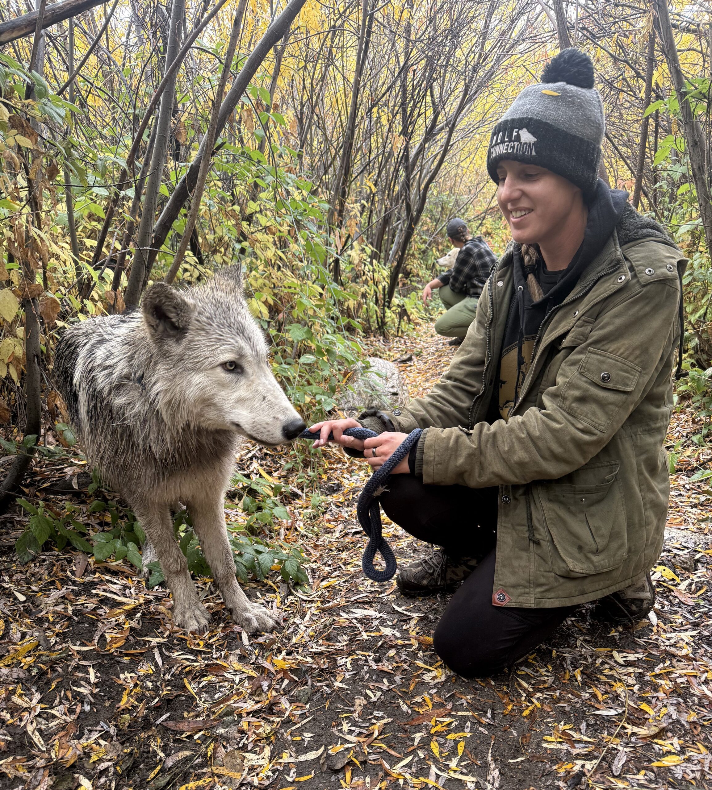 The Unexpected Friendship: Human And Wolf Connection - 3meqkif