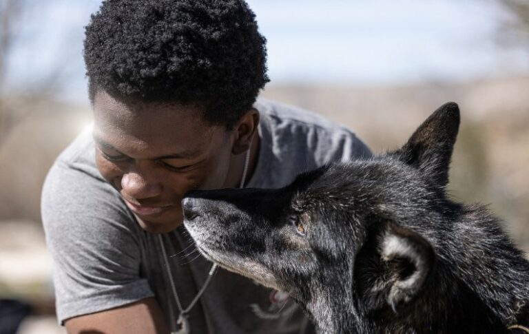 Wolves Up Discover Our Mission: Healing Humans & Wolves Alike