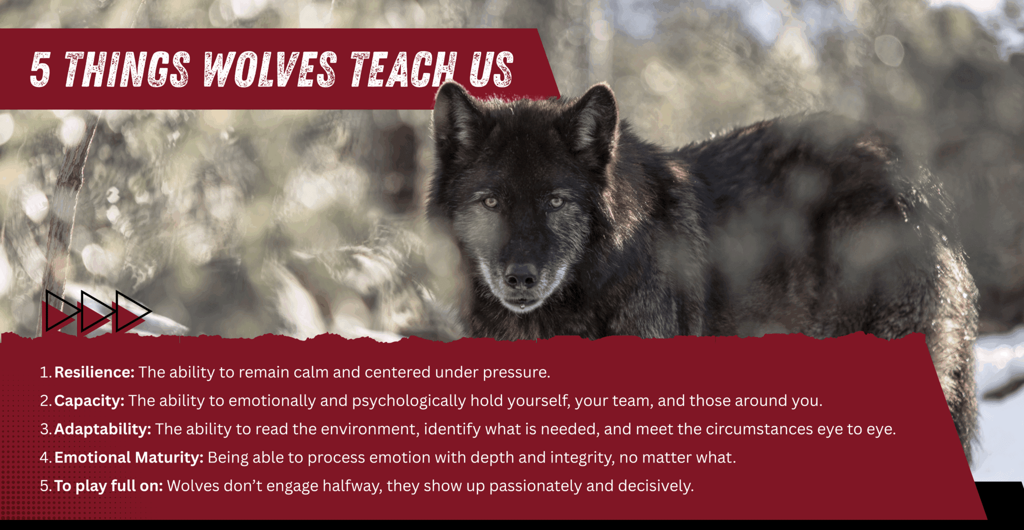 Wolves In Alignment Transform Your Team into a Powerhouse with Wolf Wisdom